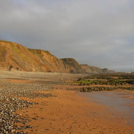 Luxury Cornish Holiday Accommodation With Sea View Буде Экстерьер фото